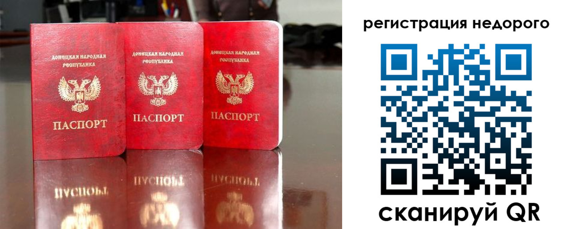 прописка поиск в Чкаловске